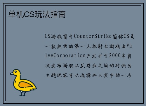 单机CS玩法指南